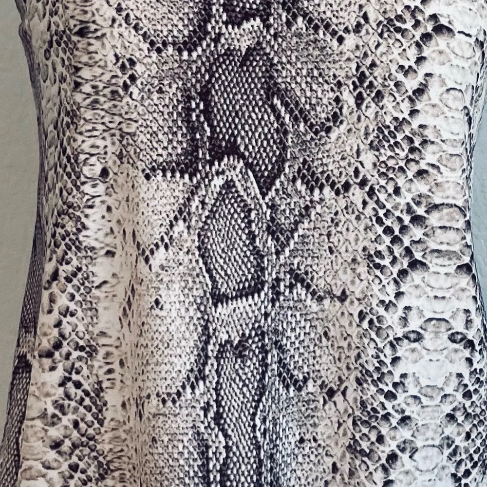 Barr lll Snake Phyton Keyhole Tank